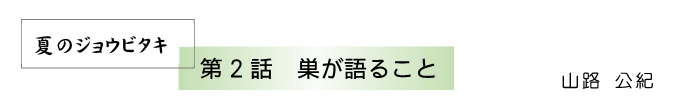 ƤΥ祦ӥ