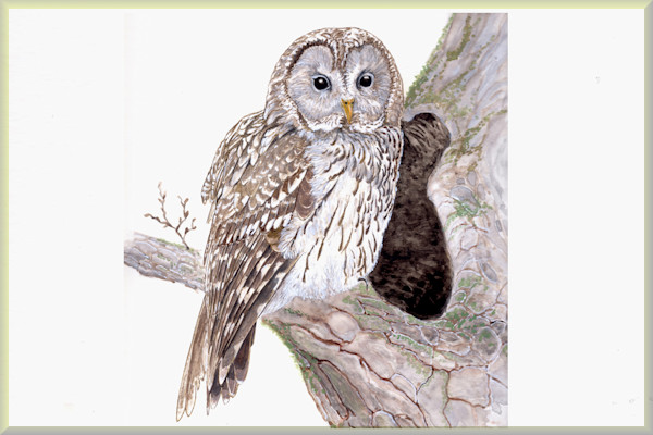 �ե�����